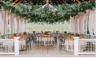 Sassafras Springs Vineyard