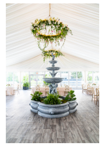 Susan DeLoach Photography