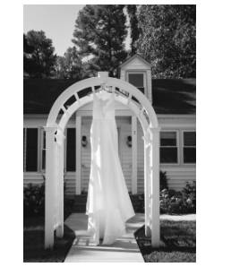 Swans Weddings and Events