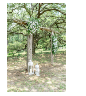 The White Rose At Waterloo Farms