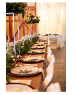 Willow Oak Farms