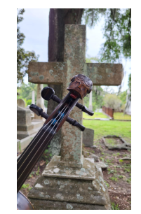 Savannah History & Ghost Tours