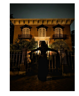 Savannah History & Ghost Tours