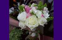 ADDIE LANE FLORAL & GIFTS
