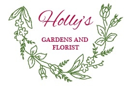 HOLLY'S GARDENS & FLORIST