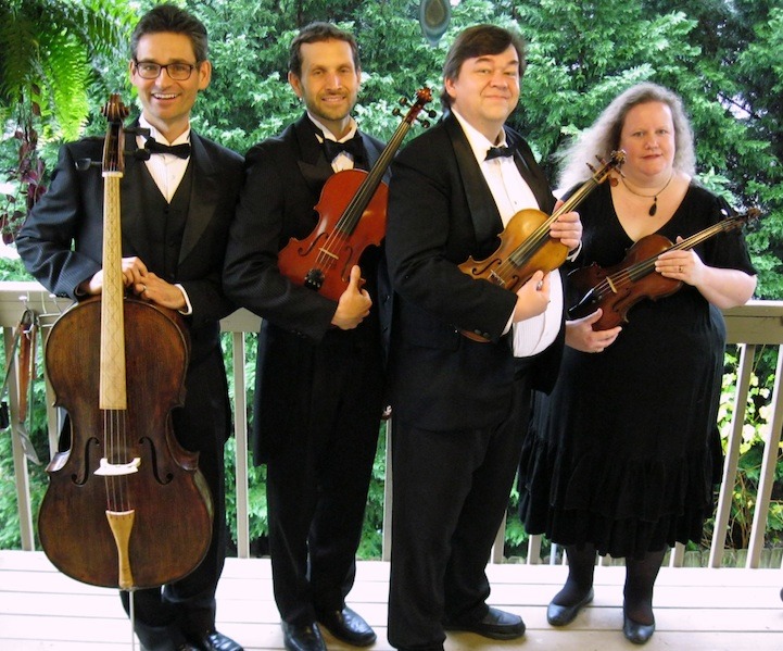 Stone Mountain Strings