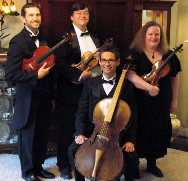 Stone Mountain Strings