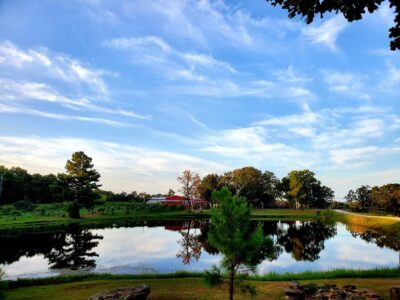 Rocky Top Winery #4