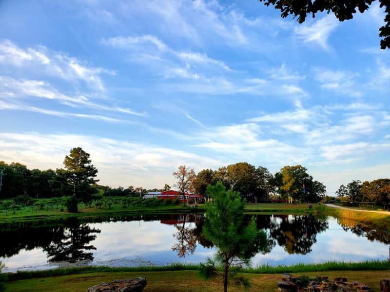 Rocky Top Winery #3