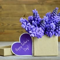 MCKENZIE'S FLOWERS