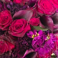 Petal & Vine Flower Shop