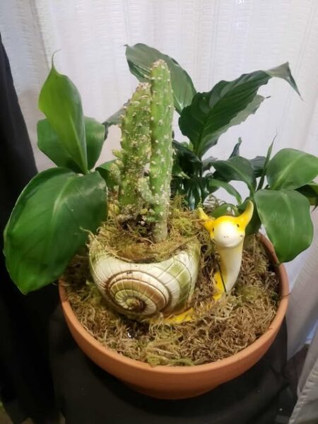 THAT FLOWER SHOP LTD.