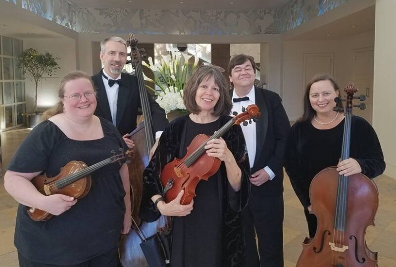 Stone Mountain Strings