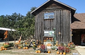 Mrs. Heather's Farm