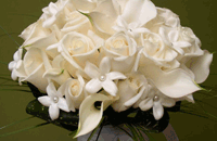 SIDE EFFECTS FLOWERS