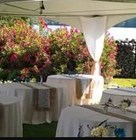 A Special Event #3