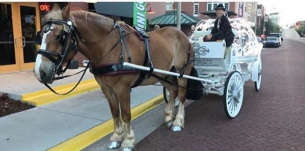 Bright Star Carriages LLC