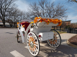 Camden Carriage Company