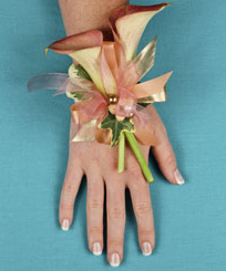 Everyday Flowers