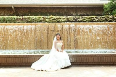Association of Wedding Gown Specialists #2