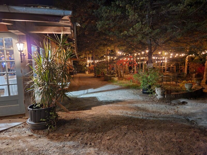 Alpine Park and Gardens #2