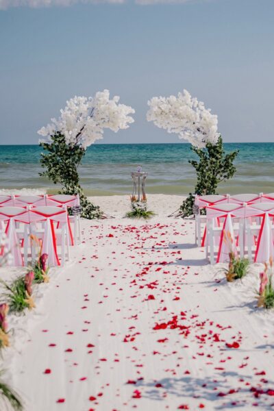 Tropical Beach Weddings Florida LLC #2