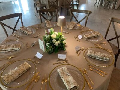 Delta Party Rental LLC #5