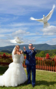 Angel's View Wedding Chapel #3