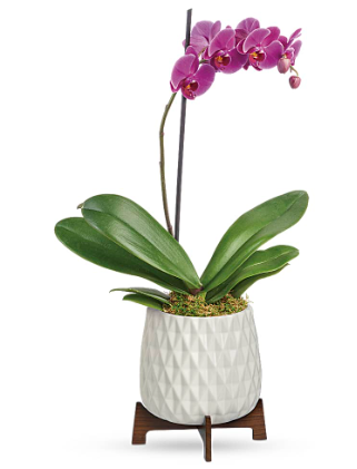 DELMA'S THE FLOWER BOOTH #4