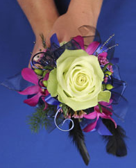 DESIGNS UNLIMITED LLC #3