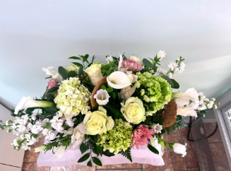 Ocean Breeze Party Rentals