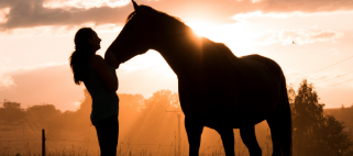Events by OK Trading Post #2
