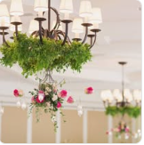FLOWERS BY BURKHARDT'S #2