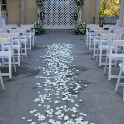 Swan Cove Manor #2