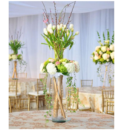 Twin Lakes Party Rentals #2