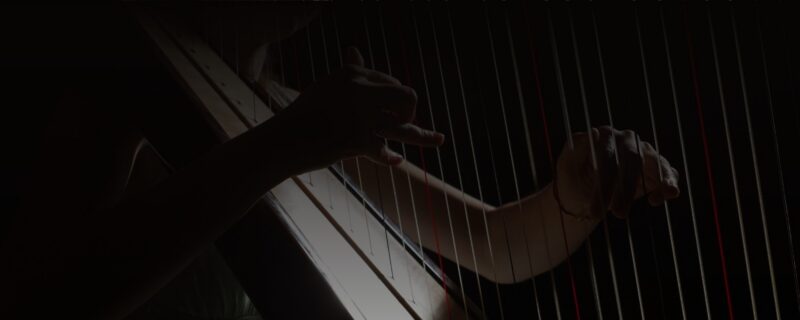 Victoria Schultz, Harpist #2